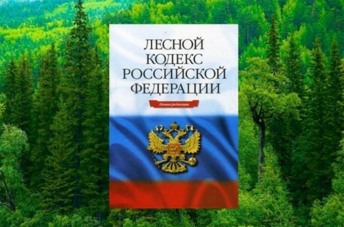 Картинки по запросу Лесной кодекс РФ описание что такое
